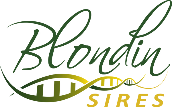 Blondin Sires